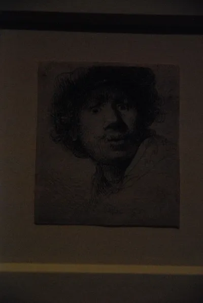 DSC_0091 (Large).JPG